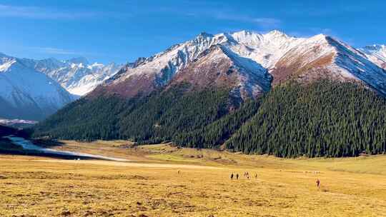 新疆夏塔雪山草原河谷自然风景