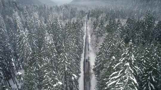 山，冬天，雪，树