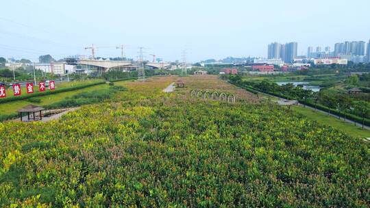 广西南宁那考河湿地公园