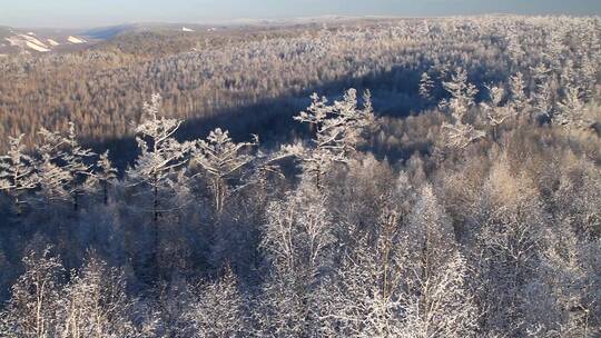 大兴安岭林海雪原雾凇