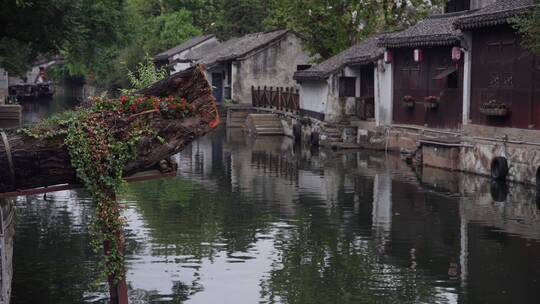 浙江湖州南浔古镇江南水乡风景