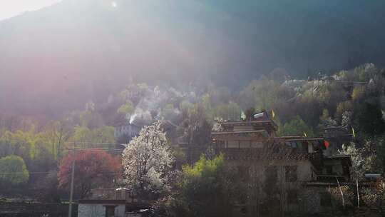 乡村风景丹巴藏寨梨花开