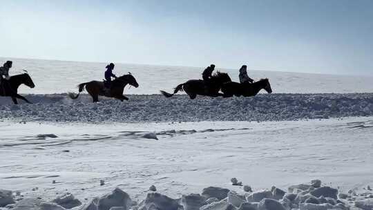 雪地赛马比赛