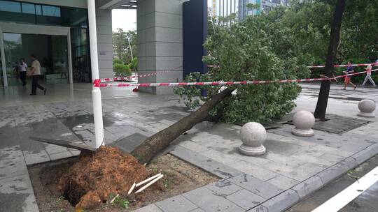 山竹 台风 台风山竹 中国沿海 沿海城市