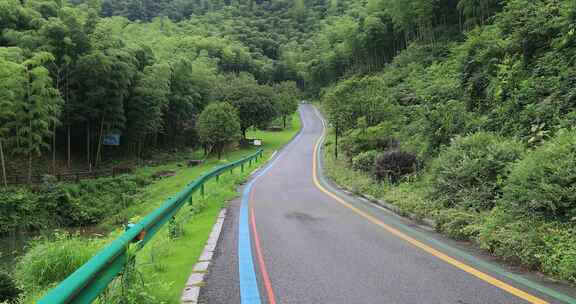 生态山庄森林竹海竹林宁静的步道