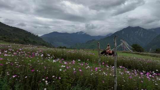 花海中人物骑马山间风景