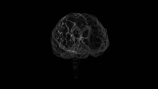 医学 大脑 脑科学 三维 脑ct1 模型