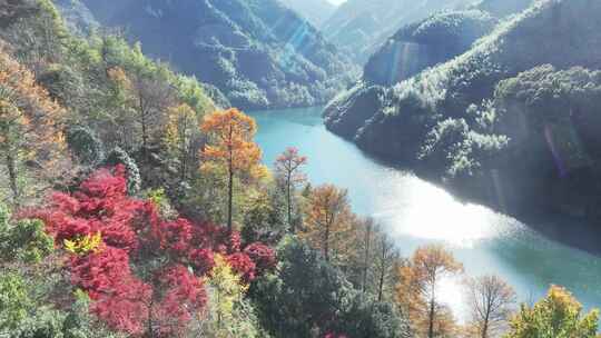 四明山秋天秋景秋色 茅镬公园