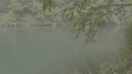 浙江桐庐大奇山自然风景