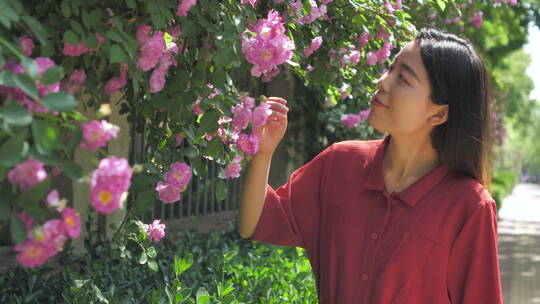 中国女性路边观赏盛开的蔷薇花