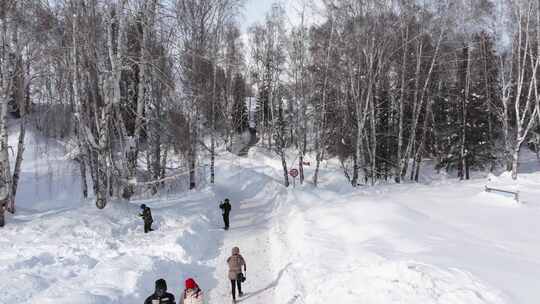 航拍新疆冬季游客在禾木村游玩雪景森林