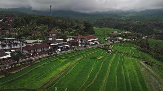 Jatiluwih，稻田，热带，乡村