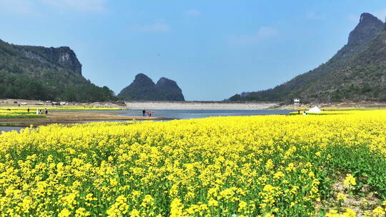 春天阳光下桂林山谷中的湖和岸边的油菜花