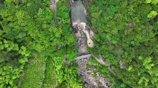 航拍安徽黄山毛峰茶田高海拔茶园视频素材模板下载