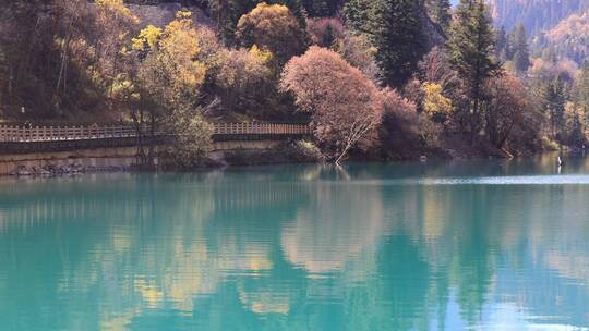 秋天四川九寨沟景区中漂亮的水