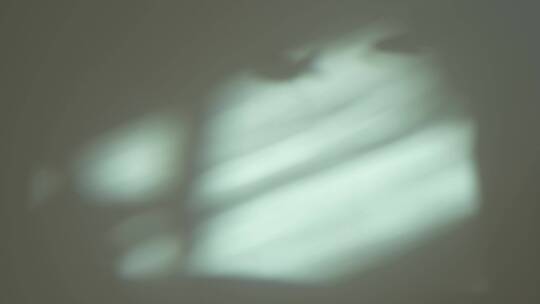 阳光穿过水族箱鱼缸鱼儿的影子映在白墙上视频素材模板下载