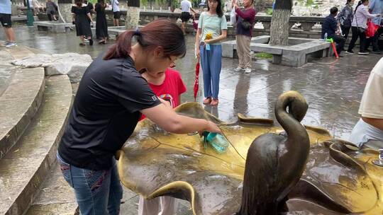 济南雨后黑虎泉水位上涨，三虎头喷涌数米远