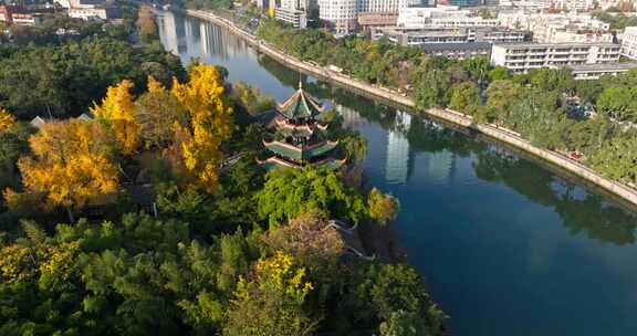 成都秋天阳光金黄的银杏点缀着城市公园风景