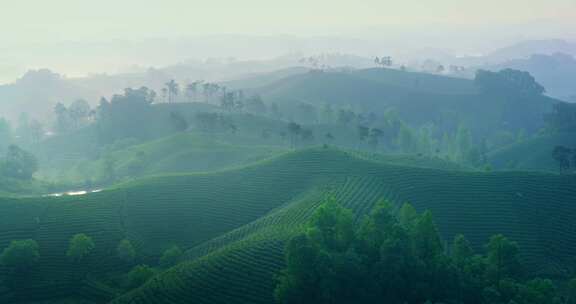 茶园茶山美丽乡村