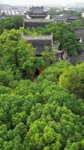 竖版航拍江苏苏州敕建报恩禅寺