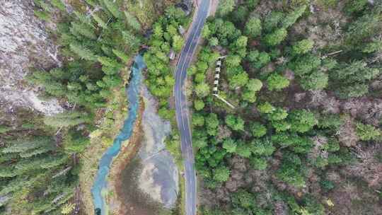 航拍九寨沟秋景彩林川西秋天原始森林五花海