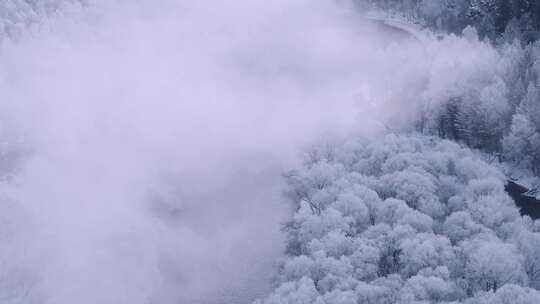 航拍黑龙江逊克大平台雾凇风景区