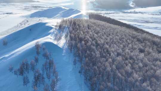 冰雪覆盖的树林和大地的壮观景象