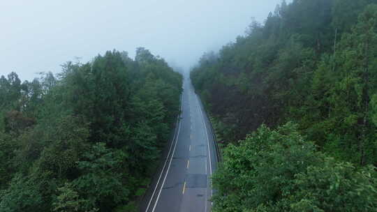 航拍雨中的森林公路