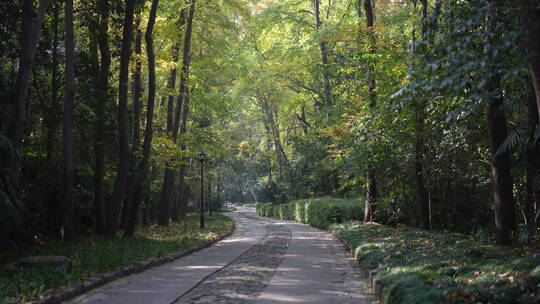 南京中山陵公园