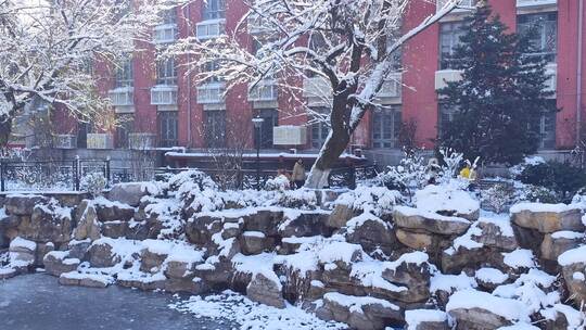 湖南大学冬天雪景