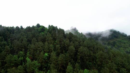 重庆南川云雾美景