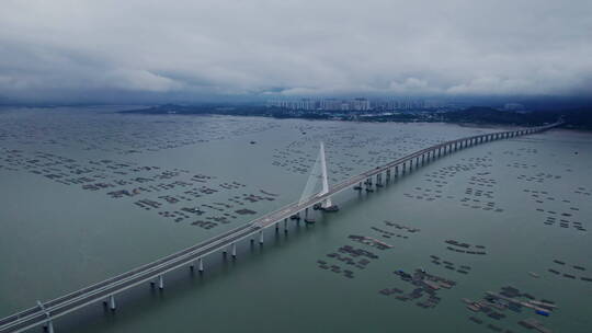 4k航拍深圳湾大桥