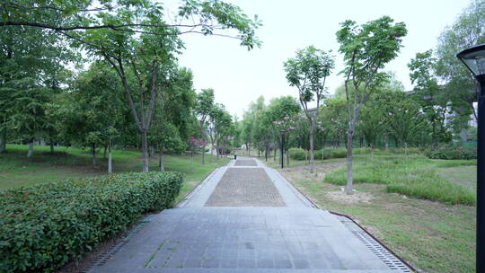 武汉中心城区戴家湖公园