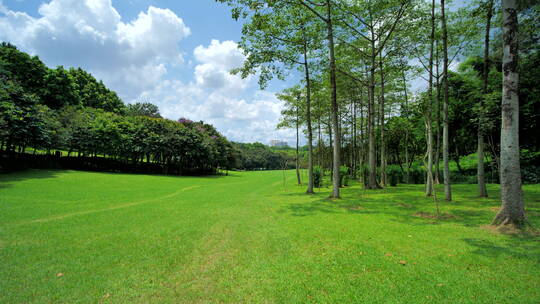 蓝天阳光草坪公园草地绿地