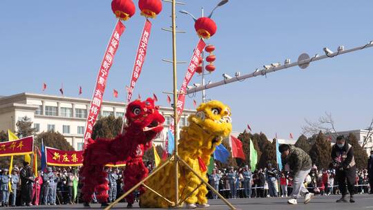 狮子怕高杆送祝福