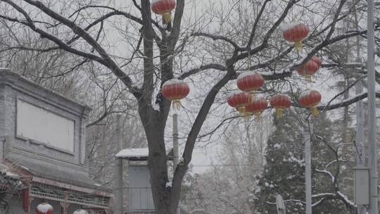 北京雪景 北京下雪