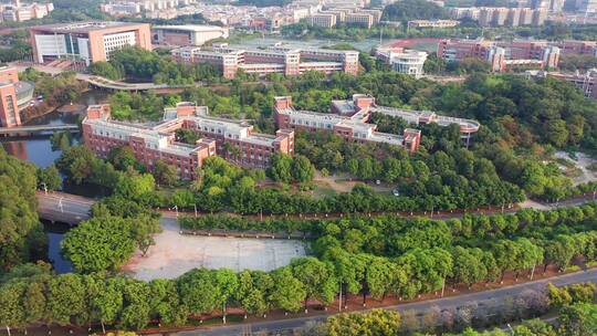 广州大学城中山大学