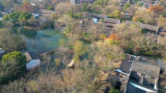 杭州景区西溪湿地美景风景视频素材