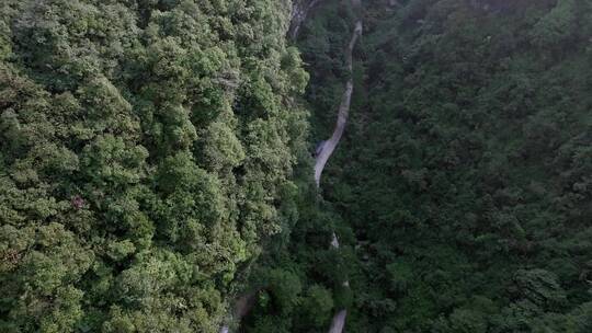 高清航拍四川乐山四溪沟森林唯美自然风光