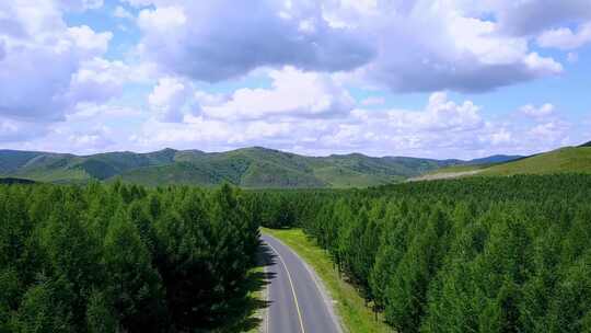 内蒙古广阔茂密的丛林公路