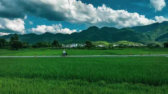 安徽省黄山市黟县夏季田园风光