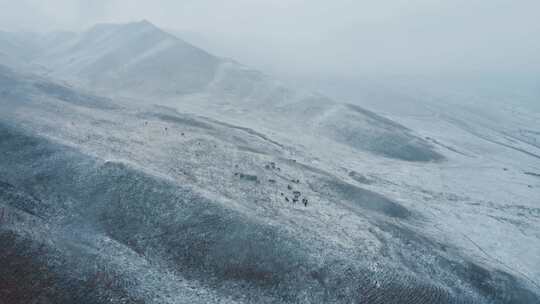 阿尔卑斯山，吉尔吉斯斯坦，自然，天山山脉