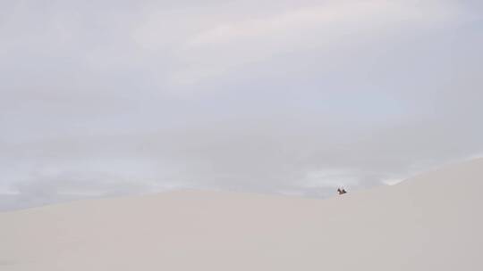 沙漠地平线的风光视频素材模板下载
