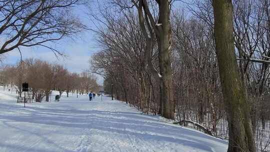 人们在雪地里滑雪