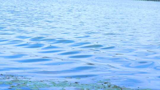 武汉东湖落雁岛湖面水波纹波光粼粼