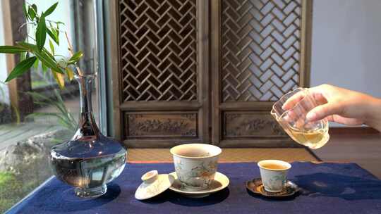 茶叶茶艺泡茶冲茶倒茶喝茶