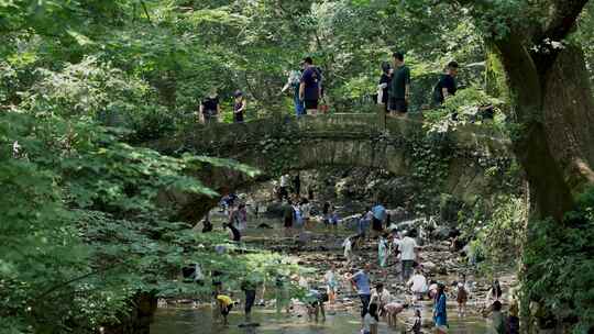 天台国清寺丰干桥人流延时