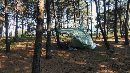 树林中户外野营的帐篷