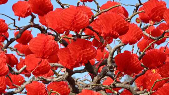 北京地坛春节文化庙会悬挂节日红灯笼