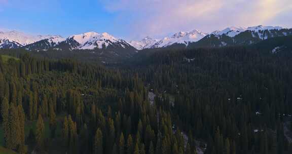 航拍雪山森林自然风景